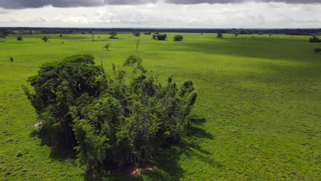 colombia eastern plains - llanos orientales 18
