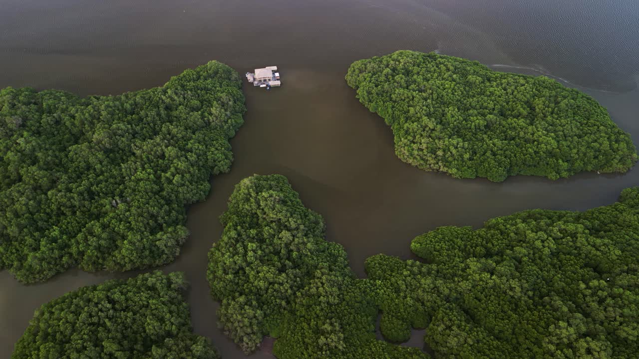 Aerial View of Mangrove Islands