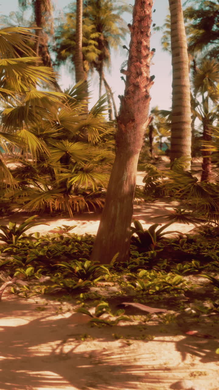 종려나무 와 황금 모래 가 있는 열대 해변 풍경