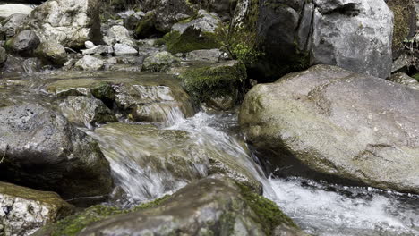 close-up of a stream flowing into the stones