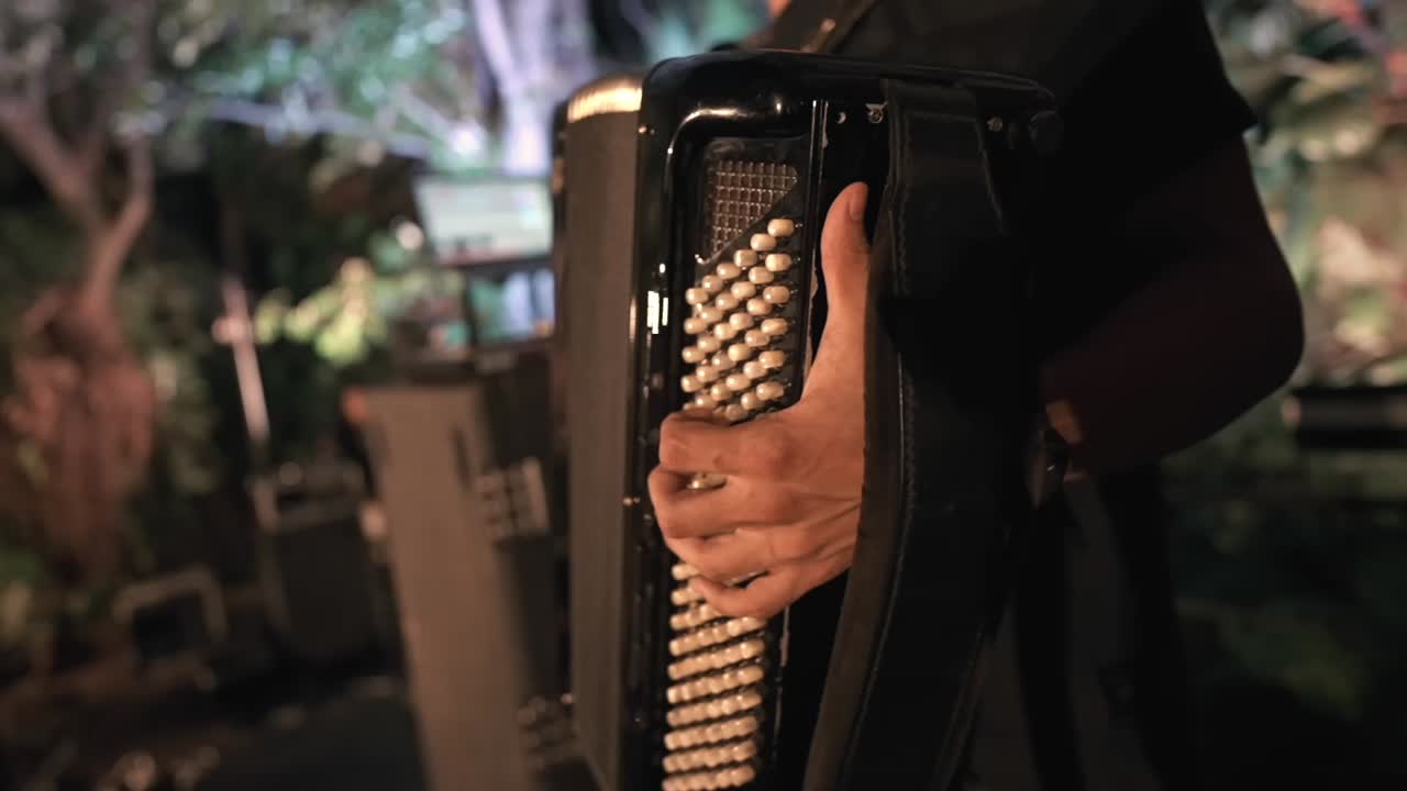 Musicista che suona la fisarmonica durante un evento dal vivo in occasione di una festa serale
