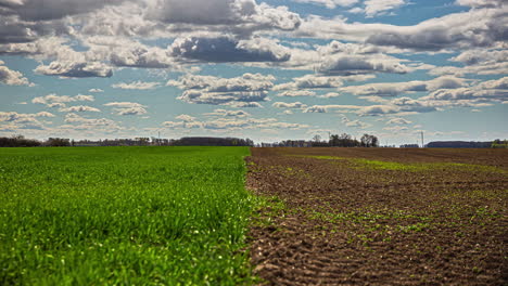 Toma-De-Tiempo-De-Campo-Arado-Marrón-Y-Campo-De-Trigo-Joven-Verde-Bajo-Nubes-Blancas-Que-Pasan-Durante-El-Día