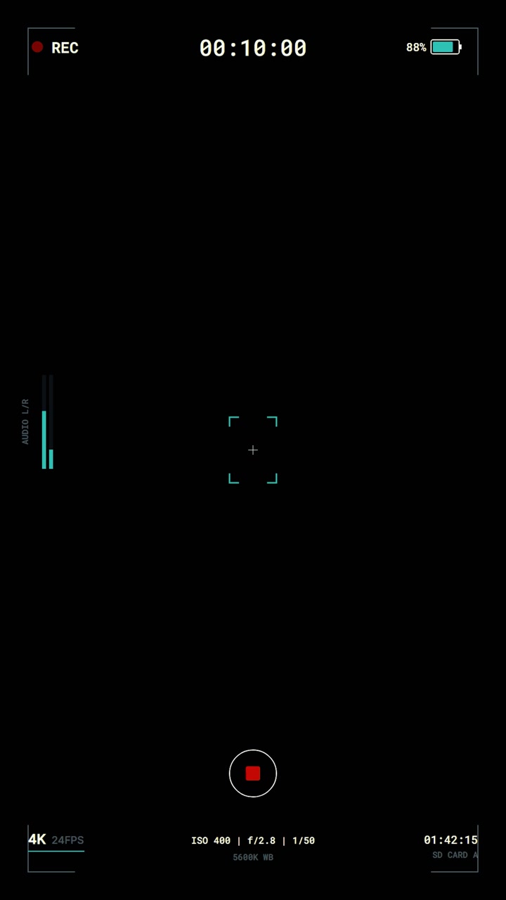 Digital Camera Recording Interface Overlay