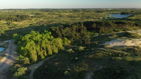 Aerial-panning-while-flying-sideways-above-National-park-Kennemerland-in-The-Netherlands