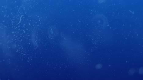 animación de manchas blancas en movimiento sobre fondo azul