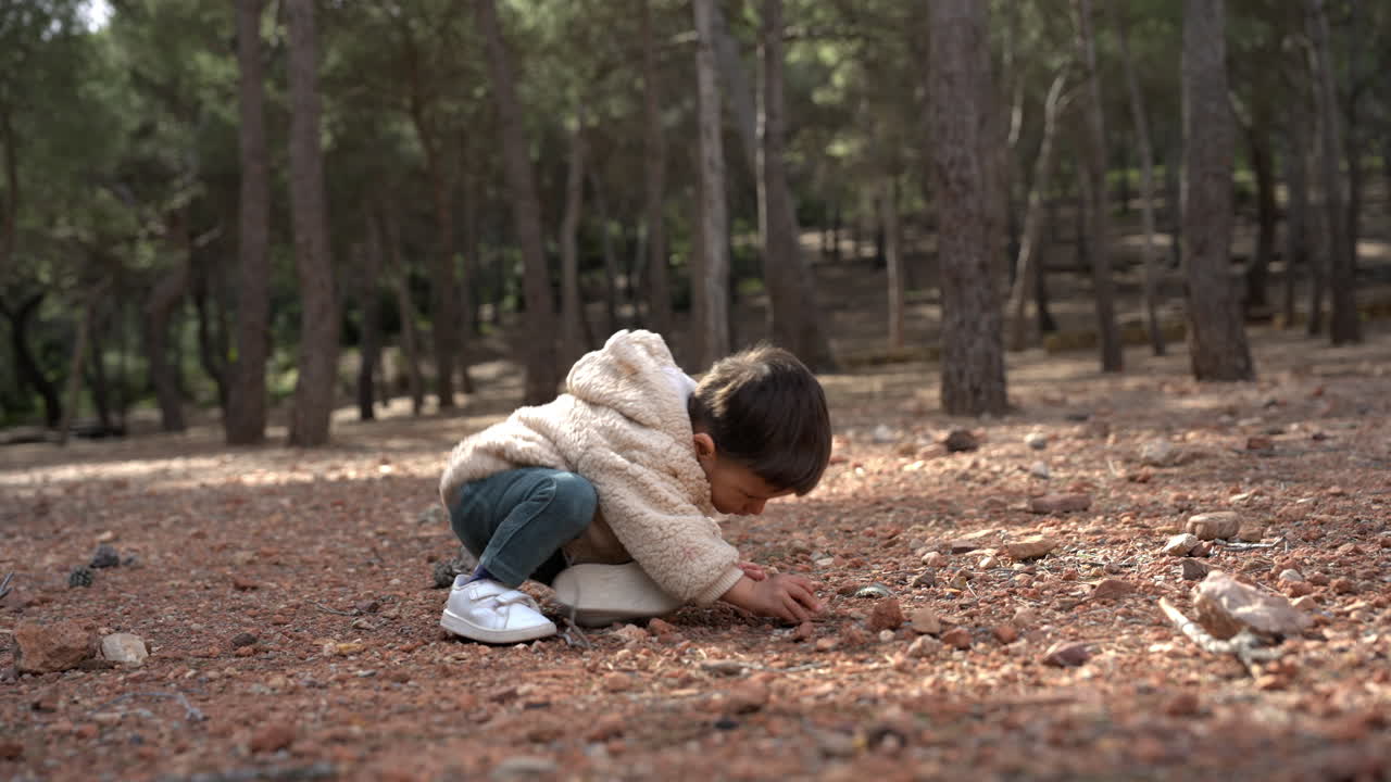 Video di lifestyle di un bambino piccolo seduto per terra in una foresta, che gioca con sassi e terra, poi raccoglie un sasso, si alza e cammina fuori dall'inquadratura, con alberi visibili sullo sfondo.