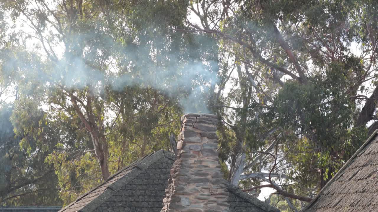 숲 속 에서 연기를 방출 하는 굴