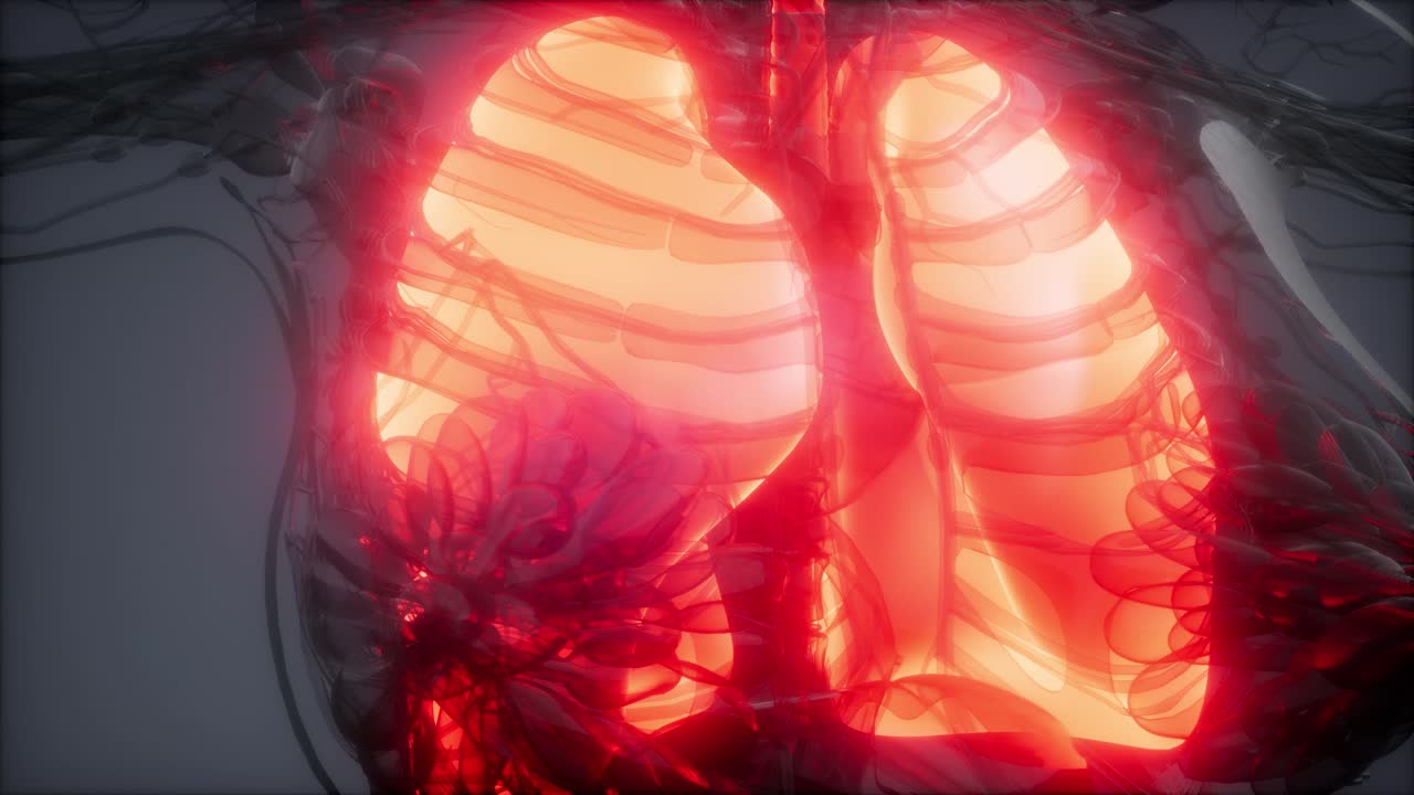 examen radiológico de los pulmones humanos