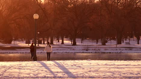 women in park against a background of warm light