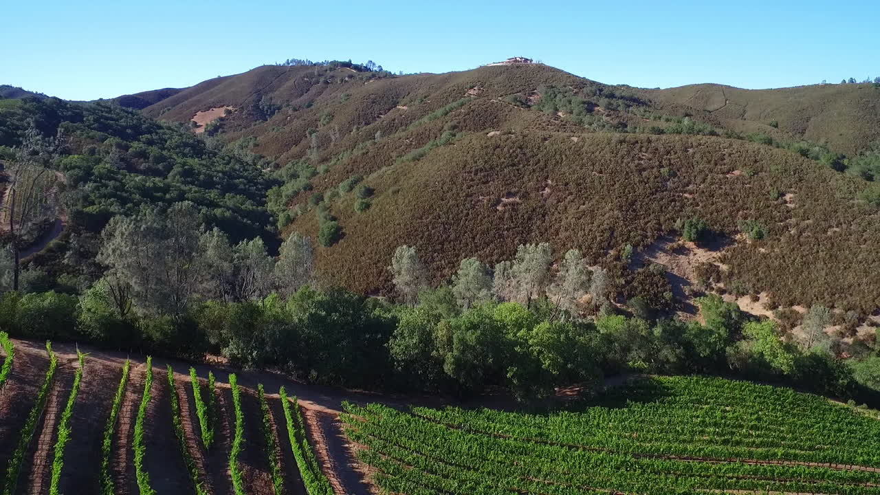 Una veduta aerea su un pendio sopra filari di vigneti nella contea di Sonoma, nella California settentrionale 2