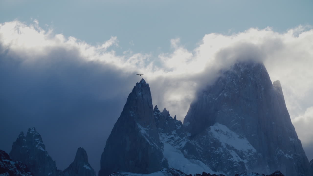 Un uccello vola sopra montagne innevate coperte da nuvole.