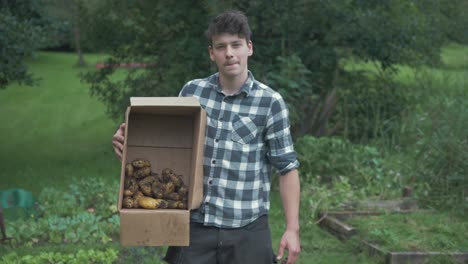 joven jardinero que sostiene con orgullo una caja de papas orgánicas cosechadas