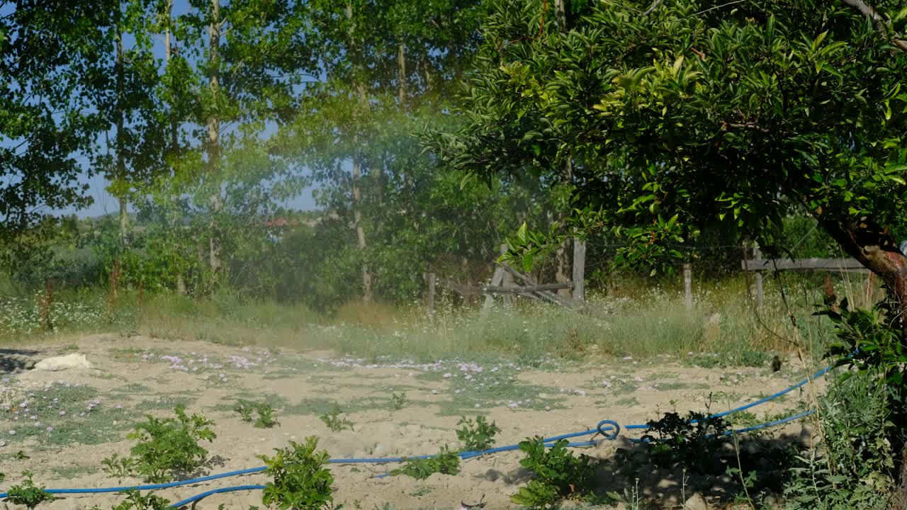 농부 사과 나무