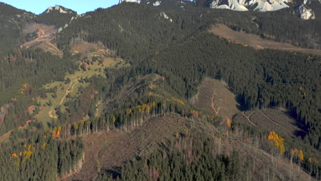 Aerial-tilt-up-revealing-limestone-cliffs-of-Hasmas-Mountains,-Romania