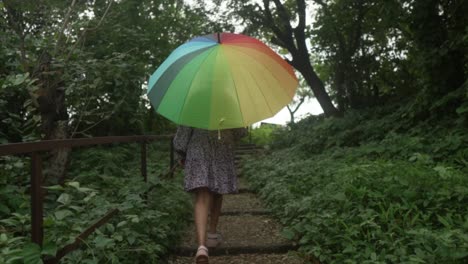 a shot from behind an asian female holding a colourful umbrella walking up the steps of a japanese garden pathway surrounded by overgrown vegetation and nature in goa, india