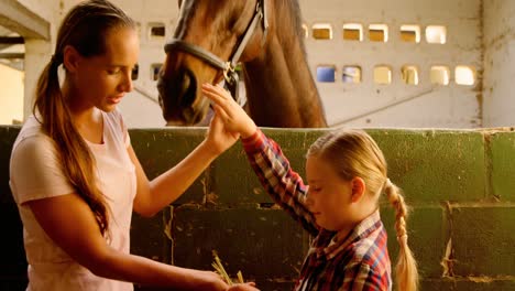 madre e hija alimentando a un caballo 4k