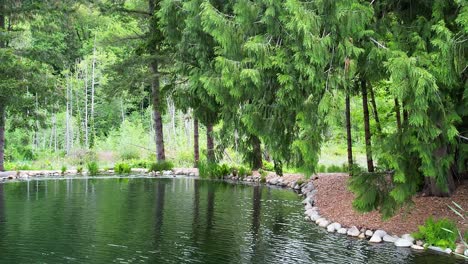 artificial lake surrounded by stones in the middle of the forest