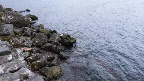 스코틀랜드 하이랜드 (scotland highlands) 의 바위가 있는 해안가에 물이 흐르는 네스 호수 (loch ness) 의 가까운 모습