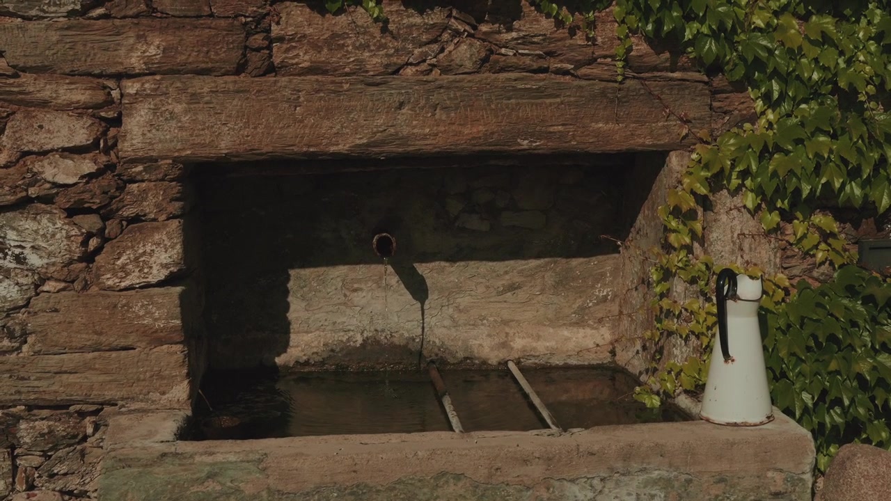 Old stone fountain trickles fresh water into trough beside white pitcher and ivy