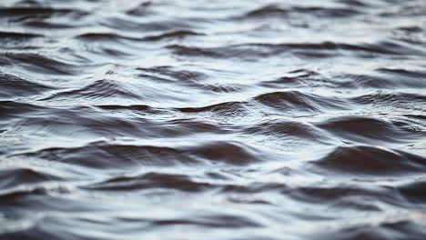 slow-motion of dramatic dark water surface in a dutch canal moving because of strong wind