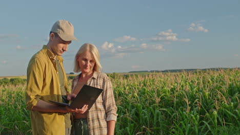 agricultores que revisan los datos de los cultivos en un campo de maíz