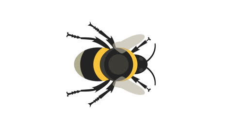 bumble bee, in flight, hovering, animation, seamless loop, illustration cartoon graphic, vertical video