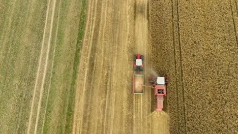 Top-view-of-combine-harvester-and-tractor-during-wheat-harvest