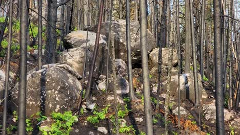 natural-formation-of-rocks-with-lichen-growing-on-them