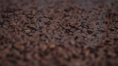 close up of seeds of coffee