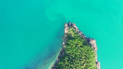 Fondo-Tropical-Del-Mar-Y-La-Isla