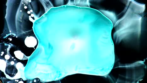 a minty, milky visual melody, taste it with your eyes - an all natural abstractvideoclip