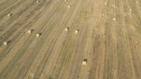 flying over the bales of hay in the field 4k aerial footage