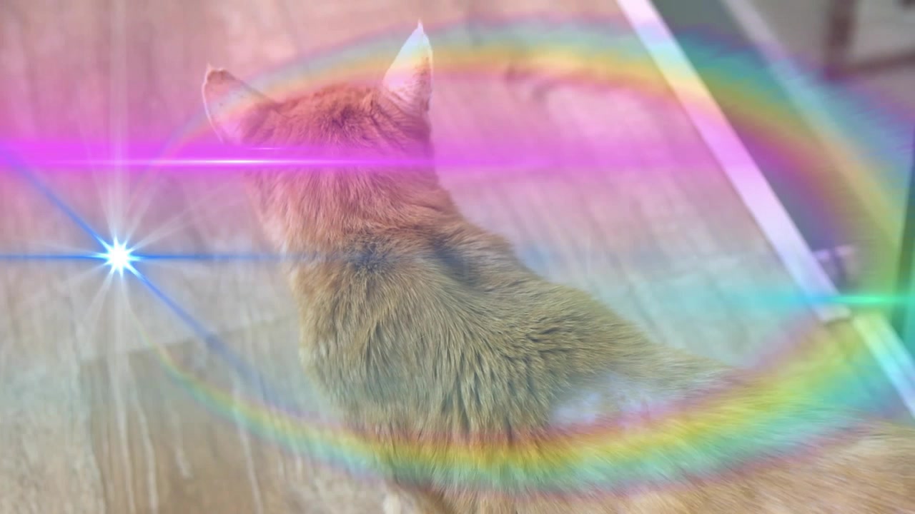 Garis merah muda neon meluas, cincin pelangi terbentuk, ledakan bintang menyala melintasi kucing oranye di lantai kayu.