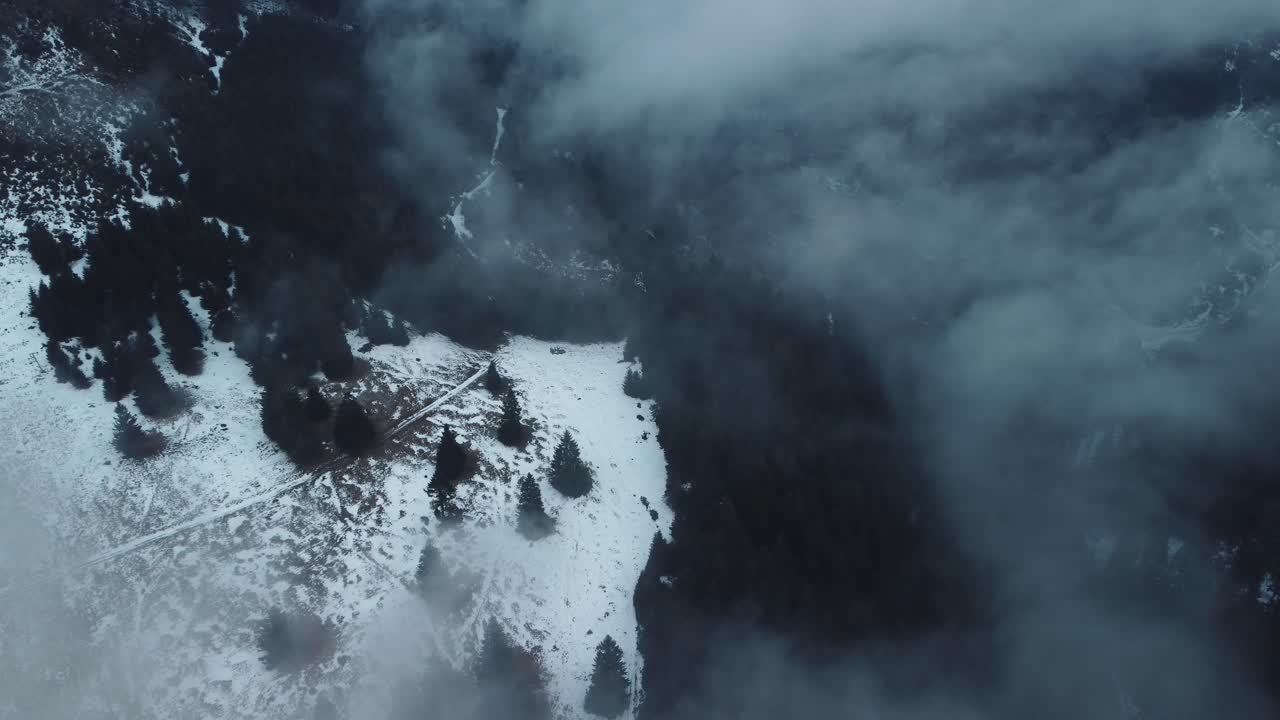 트란실바니아의 유명한 중세 "드라큘라의 성"이 있는 루마니아의 밀기울 마을