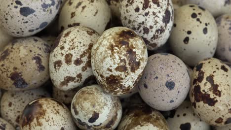los huevos de codorniz se consideran un manjar en muchas partes del mundo, incluidos asia, europa y américa del norte