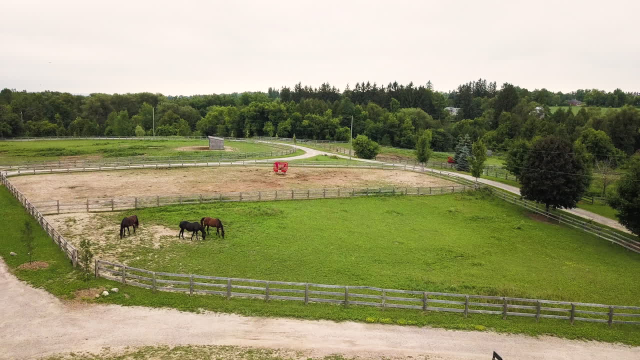 drone volando sobre un rancho de caballos en el campo