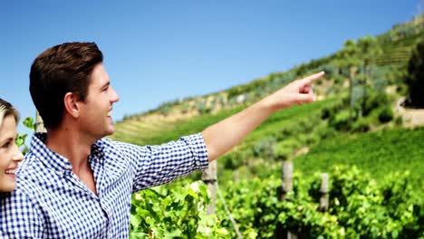 happy couple pointing at distance in vineyard