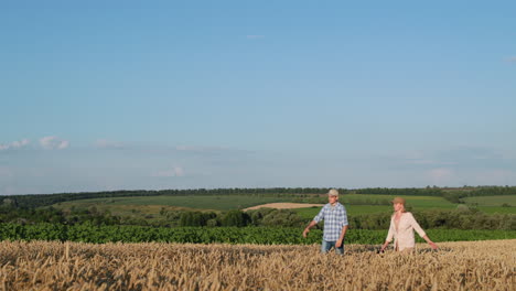 two farmers walk through the picturesque countryside along a field of yellow wheat