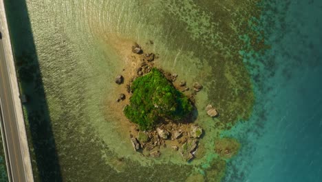 birds eye view shot of frog looking like rock near kouri bridge in okinawa, japan