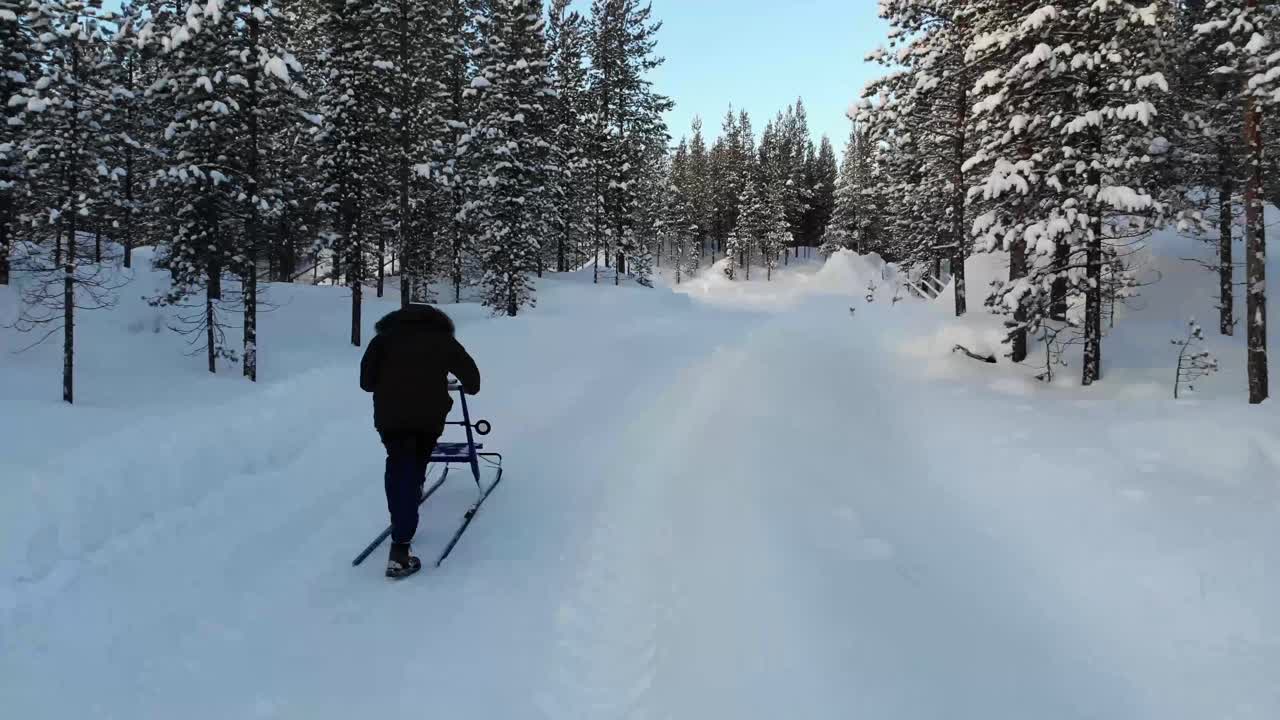 Man With A Sled In Remote Pine Forest During Winter In Lapland, Finland. - Aerial Drone Shot