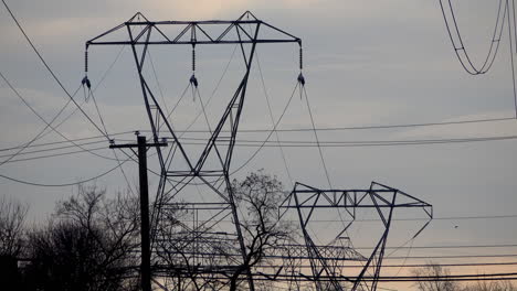 Electrical-pylons,-telephone-pole-and-trees-against-gray-sky