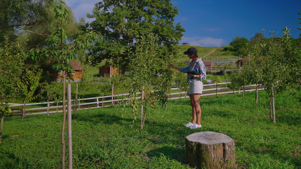 mujer inspeccionando árboles frutales en un huerto
