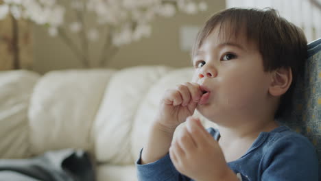 asian two-year-old baby eats grapes and watches tv attentively.