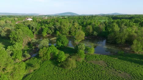 Vista-Panorámica-Aérea-Del-Bosque-De-Llanura-Aluvial-Cerca-De-Marchegg,-Frontera-Entre-Austria-Y-Eslovaquia,-Baja-Austria