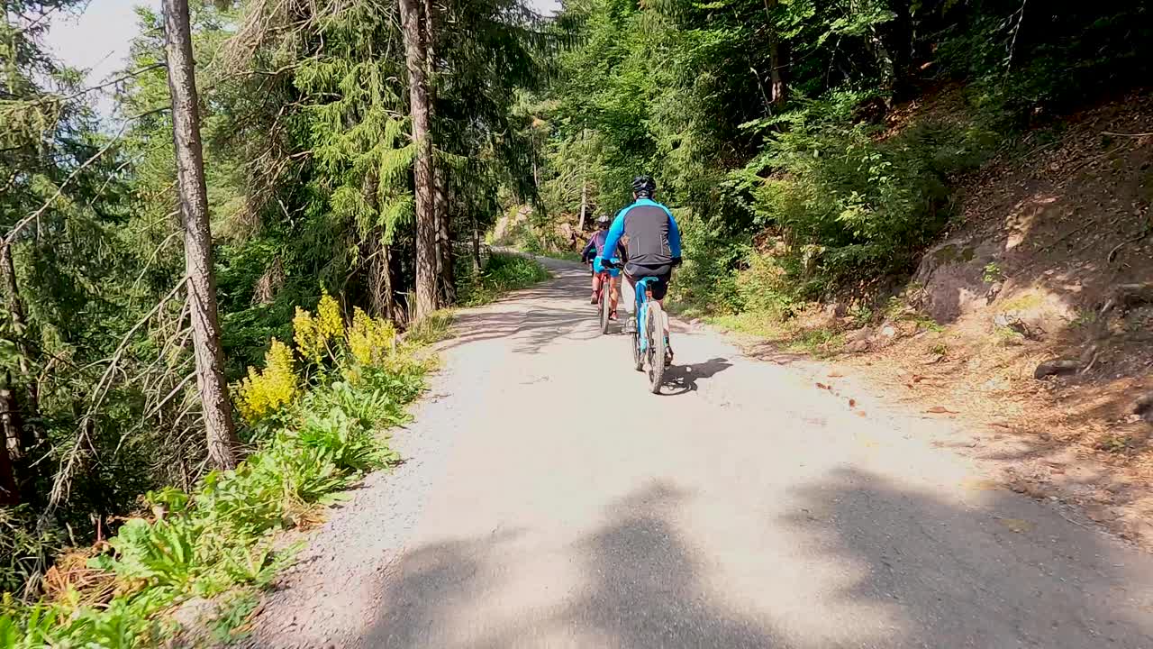 un grupo de ciclistas bajan una larga colina en las montañas a la sombra de árboles de coníferas en un día soleado