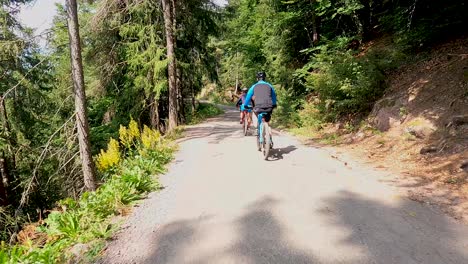 a group of bike riders go down a long hill in the mountains in the shade of coniferous trees on a sunny day