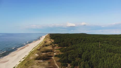 AERIAL:-Pedestal-shot-of-sandy-beach-near-green-forest