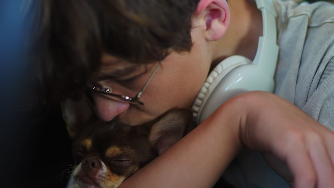 Primo piano di un bambino che bacia il suo amato cane Chihuahua.