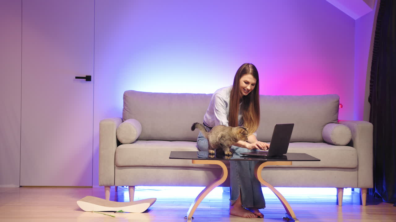 mujer trabajando en una computadora portátil con gato en el sofá