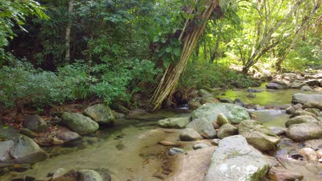 üppiger-Waldbach-In-Santa-Marta,-Kolumbien-Mit-Klarem-Wasser-Und-Felsen,-Ruhige-Naturszene